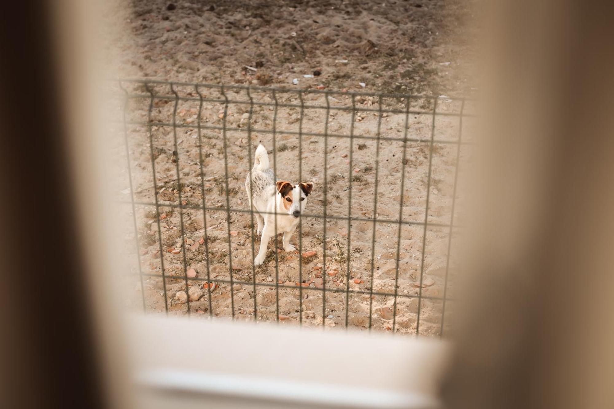Quinta Das Cacadoras - Animal Lovers Only Palmela Zewnętrze zdjęcie